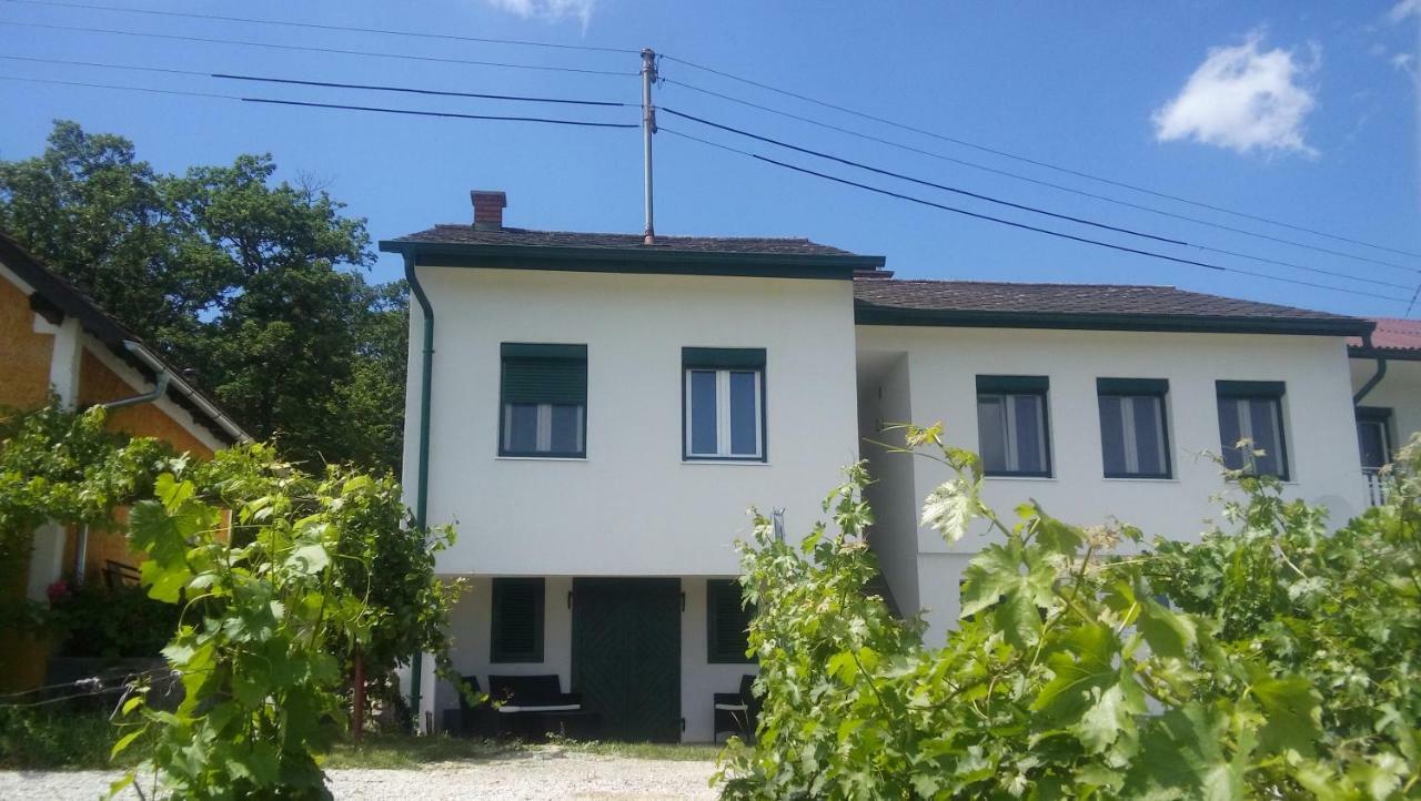 Ferienhaus Szapary II Eisenberg an der Pinka Extérieur photo