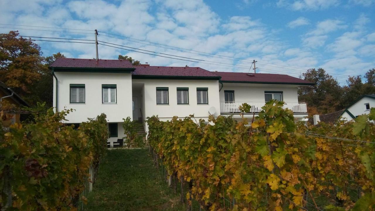 Ferienhaus Szapary II Eisenberg an der Pinka Extérieur photo